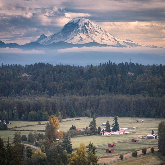 Meet your Posher, Tammy - Picture 1 of 1